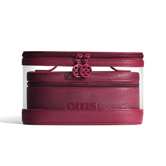 THE DOUBLE CASE - BURGUNDY