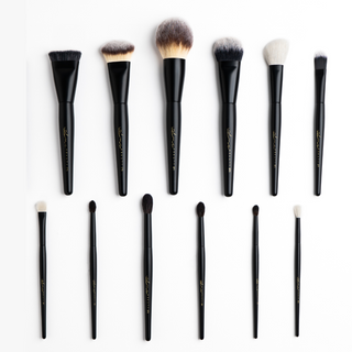 PRO BLACK KIT - 12 COMPLEXION AND EYE BRUSHES