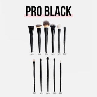 PRO BLACK KIT - 12 COMPLEXION AND EYE BRUSHES